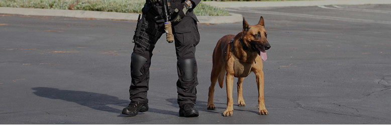 5 Things To Consider When Buying New Police Boots